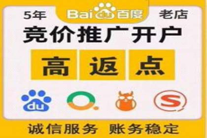 某行业SEM广告投放的创意与执行案例